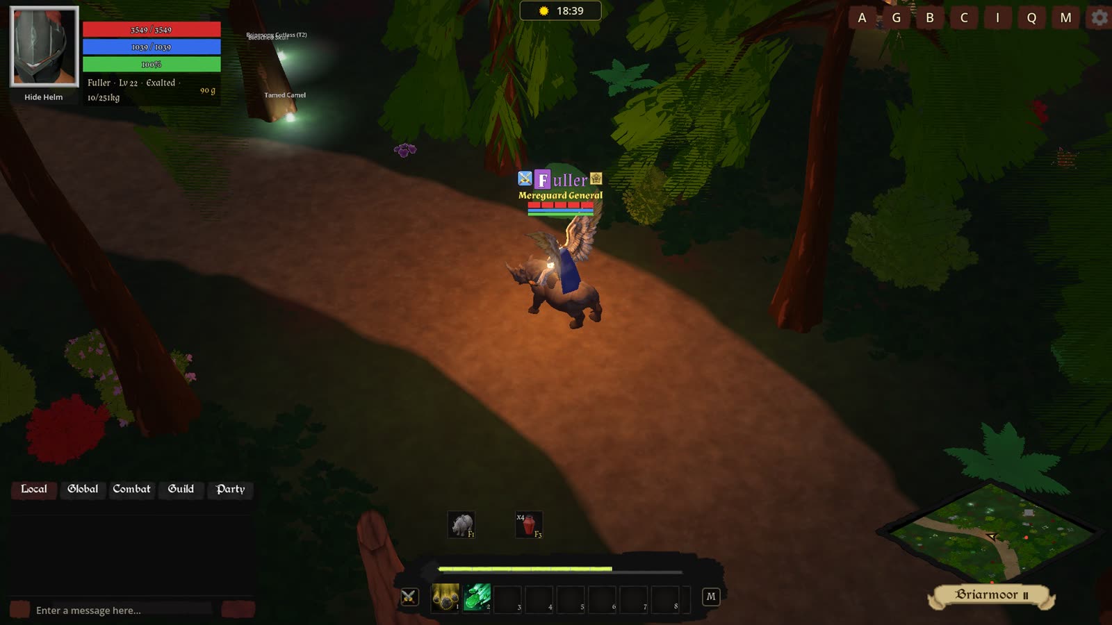 Riding the forest road by torchlight